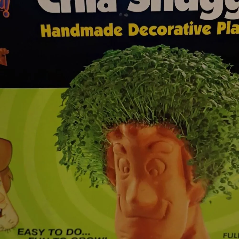 NWT Cartoon Network Scooby Doo Chia Shaggy